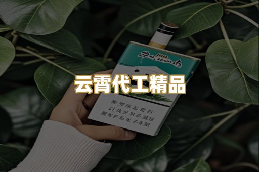 云霄代工精品